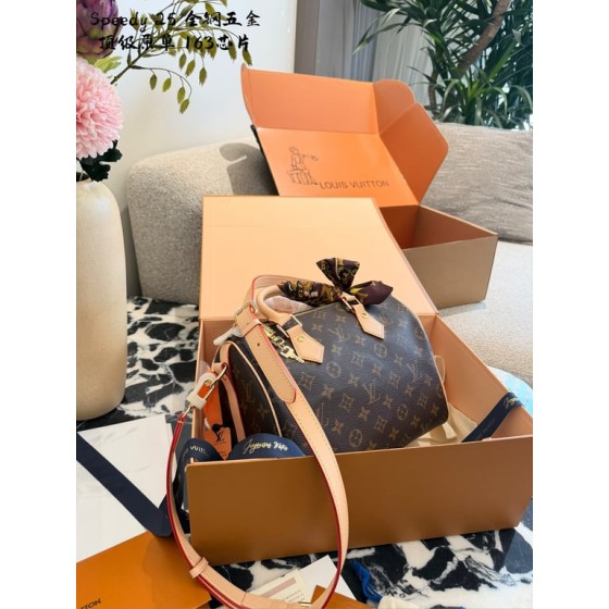 Louis Vuitton Speedy Bandouli猫re 25 (Monogram)